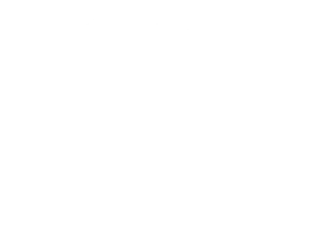 Briovista