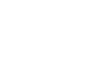 Briovista